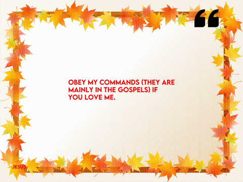 EnzoImages giphyupload love news life GIF