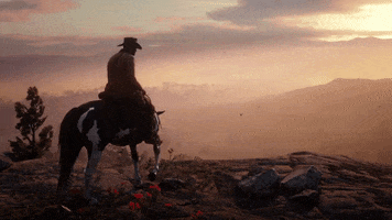 Red Dead Redemption Rdr2 GIF by Rockstar Games