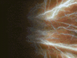 nikola tesla GIF