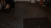 Fixer Upper Demo GIF by JC Property Professionals