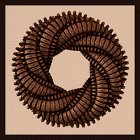 Geometry Wood GIF by xponentialdesign