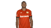 Waving Come On Sticker by Bundesliga