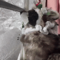 Home Alone Dancing GIF