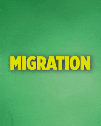 Robert Habeck Migration GIF