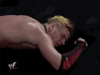 bubba ray dudley wrestling GIF by WWE