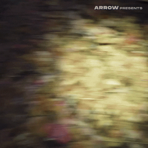 Found Footage Film GIF by Arrow Video