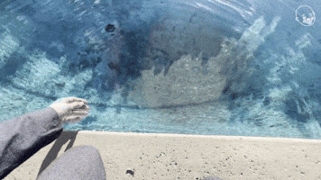 Alan Resnick's Enterings