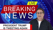 JeffBergman comedy news fox trump GIF