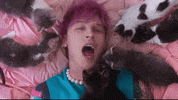Make Up Sex GIF by Machine Gun Kelly