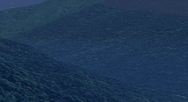 TCRHi giphyupload GIF