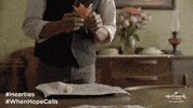 Jocelyn Hudon Brookfield GIF by Hallmark Channel