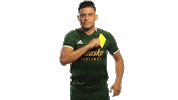 Portland Timbers Mls Sticker by Timbers