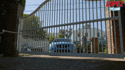 tv land entrance GIF by Lopez on TV Land