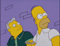 homer simpson GIF