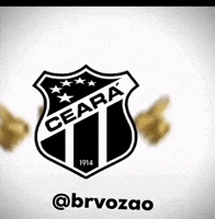 brvozao  GIF