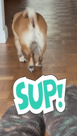Whats Up What GIF