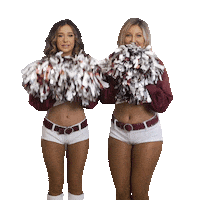 Rugby League Celebration Sticker by Sea Eagles