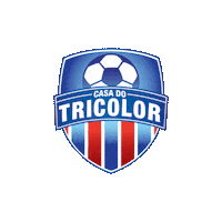 Bahia Ct Sticker by Casa Tricolor