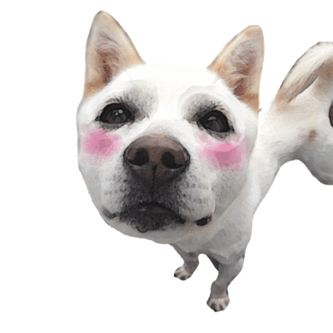 Dog Love Sticker