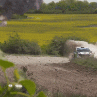 Corner Rallying GIF by FIA European Rally Championship