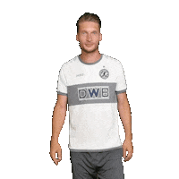 Football Blum Sticker by BFC Dynamo