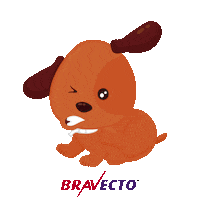 msdfamiliapet bravecto Sticker