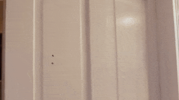donovan wolfington GIF by Topshelf Records