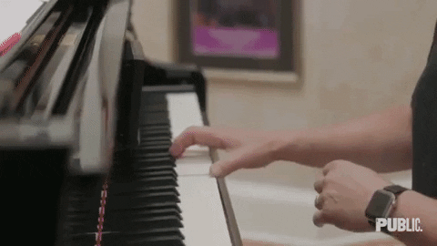 GIF by The Public Theater
