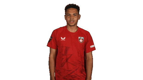 Fc Kaiserslautern What Sticker by Bundesliga