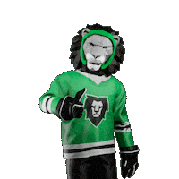 Hockey Hokej Sticker by Tipsport extraliga