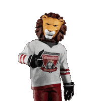 Hockey Hokej Sticker by Tipsport extraliga