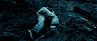Leonardo Dicaprio GIF by Coolidge Corner Theatre
