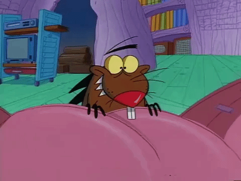 nickrewind giphydvr nicksplat angry beavers giphyab031 GIF