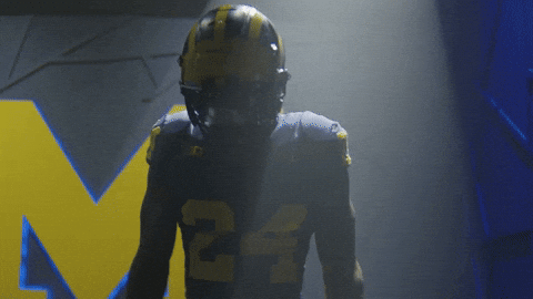 Go Blue Michigan Football GIF by Michigan Athletics