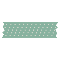 Dots Washi Sticker by Simone Bruidsfotografie