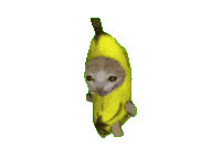 Sticker ねこ Sticker by Japan