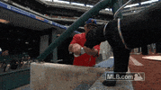 philladelphia phillies GIF by MLB