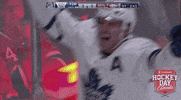 Ice Hockey Sport GIF by NHL