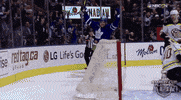 ice hockey sport GIF by NHL