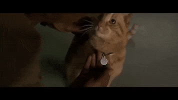 marvel avengers GIF