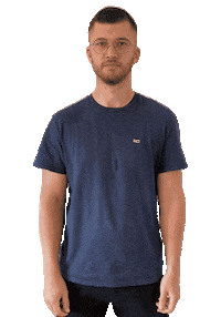 Rufen Waving Sticker by Radio Vest