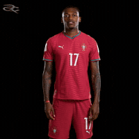 Cristiano Ronaldo Portugal GIF by Respective
