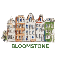 Bloomstone real estate home house fireworks Sticker