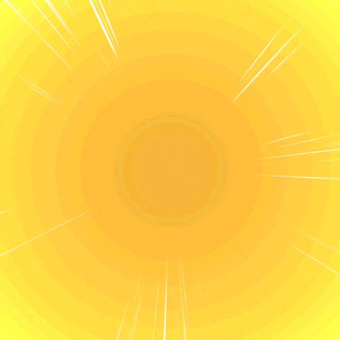 Lets Go Yes GIF by VeeFriends