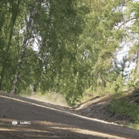 Fast Car Motorsport GIF by FIA World Rally Championship