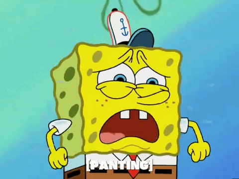 season 5 new digs GIF by SpongeBob SquarePants