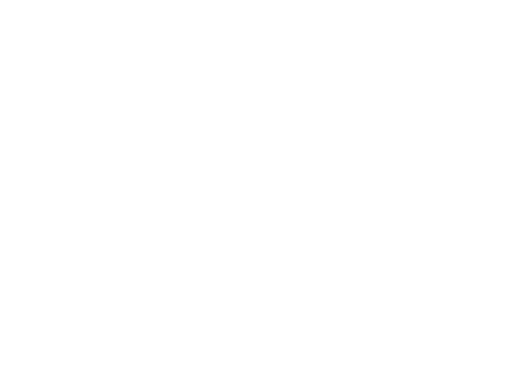 wildtameteam giphyupload wild tame wildtame Sticker