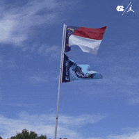 North Carolina GIF by UNC Tar Heels