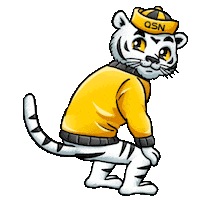 QSNgg twerk qsn twerk tiger twerk Sticker