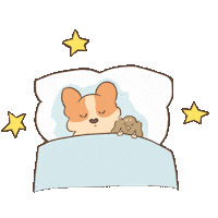 Good Night Sleep Sticker